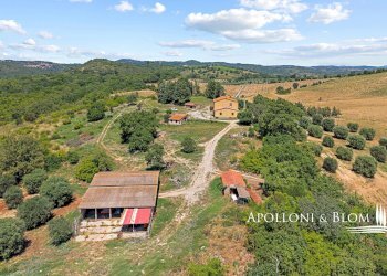 Casale Maglianese, 33, Magliano in Toscana - foto 17
