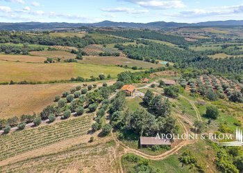 Casale Maglianese, 33, Magliano in Toscana - foto 18