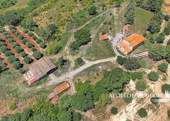 Casale Maglianese, 33, Magliano in Toscana - foto 21