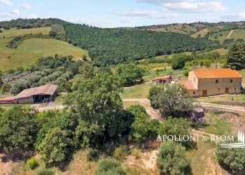 Casale Maglianese, 33, Magliano in Toscana - foto 1