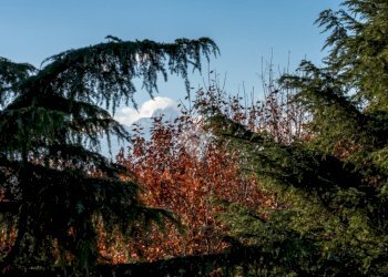 Trilocale Via Sampò, Saluzzo - foto 12