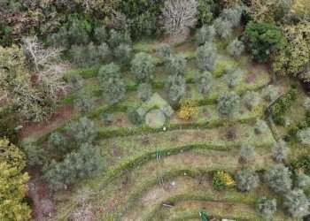 Villa Località Case di Sopra, Carasco - foto 45