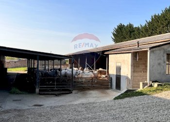 Casale strada provinciale 
 Montemagno, AT, Montemagno - foto 15