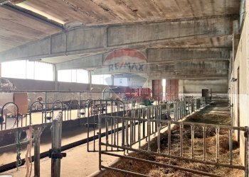 Casale strada provinciale 
 Montemagno, AT, Montemagno - foto 17