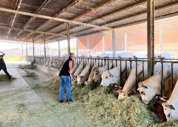 Casale strada provinciale 
 Montemagno, AT, Montemagno - foto 18