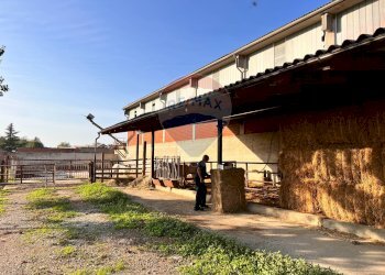 Casale strada provinciale 
 Montemagno, AT, Montemagno - foto 19