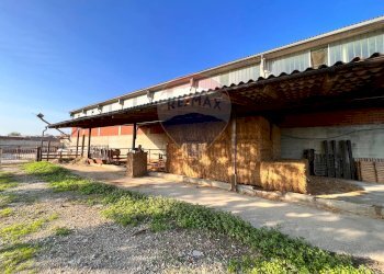 Casale strada provinciale 
 Montemagno, AT, Montemagno - foto 20