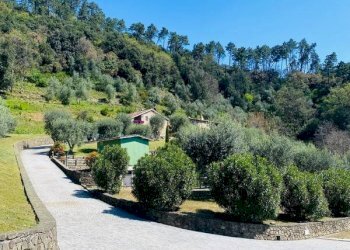 Foto 5 - Rustico Pescaglia - foto 5