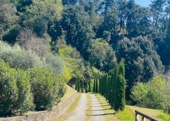 Foto 7 - Rustico Pescaglia - foto 7