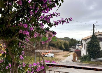 Foto 37 - Casa indipendente via San Martino, Colonnella - foto 37