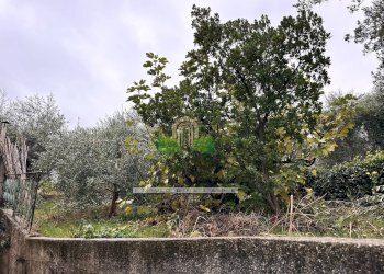 Foto 77 - Casa indipendente via San Martino, Colonnella - foto 77