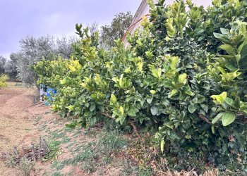 Foto 84 - Casa indipendente via San Martino, Colonnella - foto 84