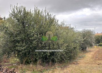 Foto 86 - Casa indipendente via San Martino, Colonnella - foto 86