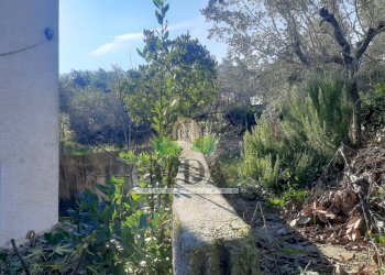 Foto 76 - Casa indipendente via San Martino, Colonnella - foto 76