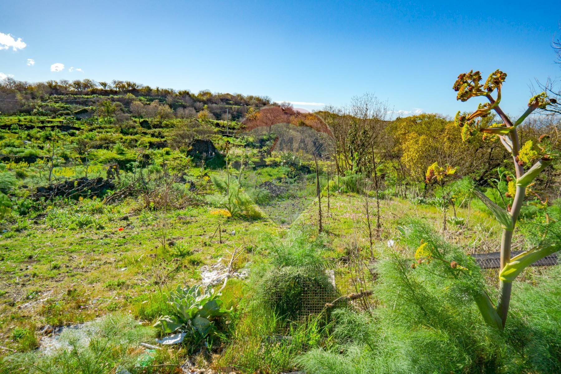 Vista delle montagne - Terreno agricolo strada provinciale 56i
 
sn, Belpasso - foto 2