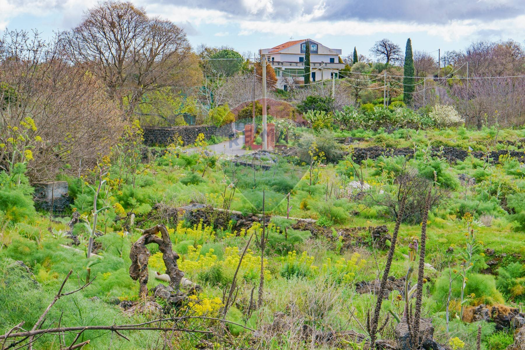 Giardino - Terreno agricolo strada provinciale 56i
 
sn, Belpasso - foto 3