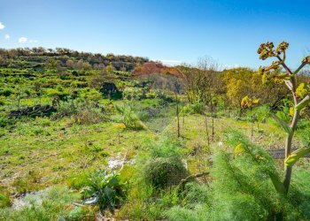 Foto 2 - Terreno agricolo strada provinciale 56i
 
sn, Belpasso - foto 2