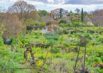 Foto 3 - Terreno agricolo strada provinciale 56i
 
sn, Belpasso - foto 3