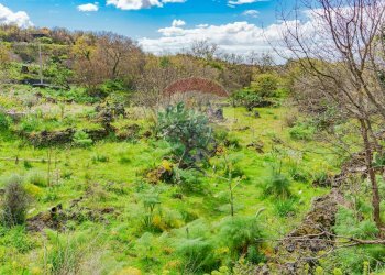 Foto 4 - Terreno agricolo strada provinciale 56i
 
sn, Belpasso - foto 4