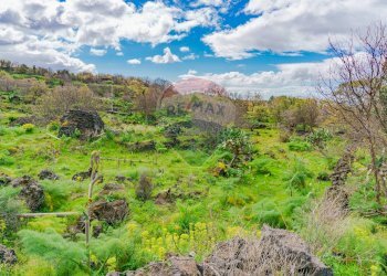 Foto 5 - Terreno agricolo strada provinciale 56i
 
sn, Belpasso - foto 5