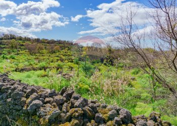Foto 8 - Terreno agricolo strada provinciale 56i
 
sn, Belpasso - foto 8