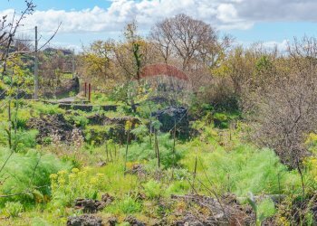 Foto 10 - Terreno agricolo strada provinciale 56i
 
sn, Belpasso - foto 10