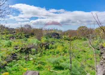 Foto 11 - Terreno agricolo strada provinciale 56i
 
sn, Belpasso - foto 11