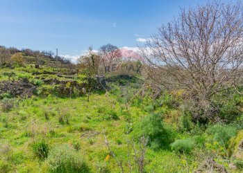 Foto 13 - Terreno agricolo strada provinciale 56i
 
sn, Belpasso - foto 13
