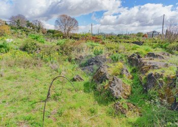 Foto 15 - Terreno agricolo strada provinciale 56i
 
sn, Belpasso - foto 15
