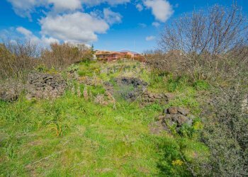 Foto 16 - Terreno agricolo strada provinciale 56i
 
sn, Belpasso - foto 16