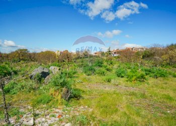 Foto 19 - Terreno agricolo strada provinciale 56i
 
sn, Belpasso - foto 19