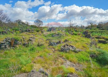 Foto 20 - Terreno agricolo strada provinciale 56i
 
sn, Belpasso - foto 20