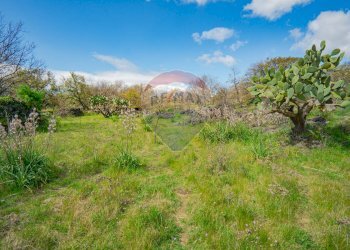 Foto 22 - Terreno agricolo strada provinciale 56i
 
sn, Belpasso - foto 22