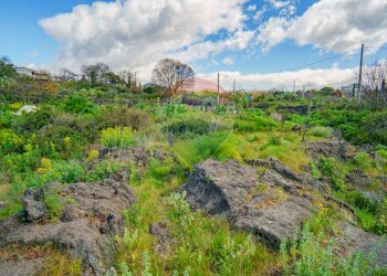 Foto 24 - Terreno agricolo strada provinciale 56i
 
sn, Belpasso - foto 24