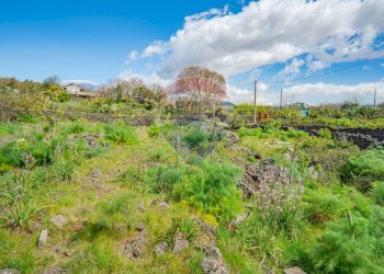 Foto 25 - Terreno agricolo strada provinciale 56i
 
sn, Belpasso - foto 25