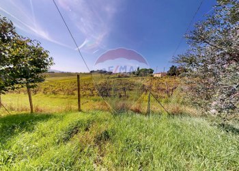 Giardino - Villa Strada Marscianese
 
44, Marsciano - foto 21