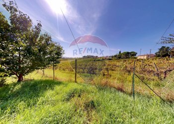 Giardino - Villa Strada Marscianese
 
44, Marsciano - foto 24