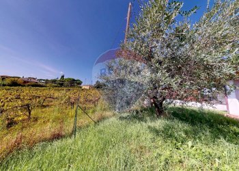 Giardino - Villa Strada Marscianese
 
44, Marsciano - foto 25