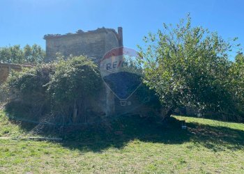 Giardino - Rustico Loc.  Coppi, Voc.  Petroia
 
18, Città di Castello - foto 5