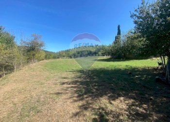 Giardino - Rustico Loc.  Coppi, Voc.  Petroia
 
18, Città di Castello - foto 9