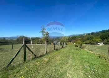 Giardino - Rustico Loc.  Coppi, Voc.  Petroia
 
18, Città di Castello - foto 14