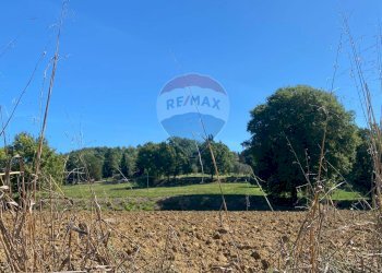 Vista delle montagne - Rustico Loc.  Coppi, Voc.  Petroia
 
18, Città di Castello - foto 15