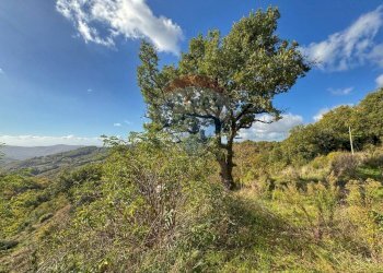 Vista delle montagne - Rustico FRAZIONE PREGGIO
 
128, Umbertide - foto 61