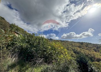 Vista delle montagne - Rustico FRAZIONE PREGGIO
 
128, Umbertide - foto 65