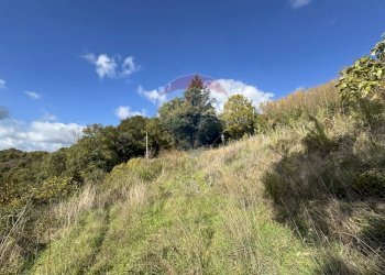 Vista delle montagne - Rustico FRAZIONE PREGGIO
 
128, Umbertide - foto 67