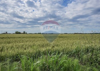 Giardino - Casa indipendente Via Ruffetta
 
85, Tresignana - foto 19