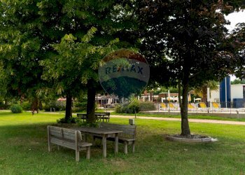 Giardino - Villa Polesella - foto 19