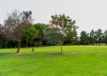 Giardino - Villa Polesella - foto 20