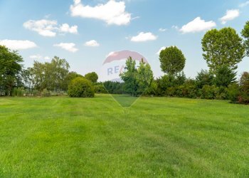 Giardino - Villa Polesella - foto 21