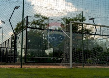 Balcone - Villa Polesella - foto 30